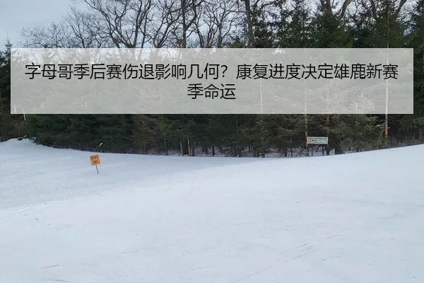 zi-mu-ge-ji-hou-sai-shang-tui-ying-xiang-ji-he-kang-fu-jin-du-jue-ding-xiong-lu-xin-sai-ji-ming-yun-1-133.jpg